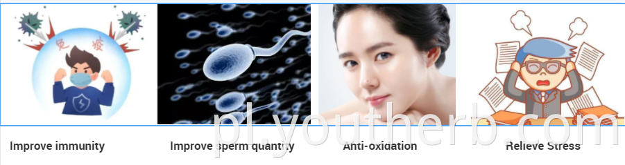 is ashwagandha root powder safe